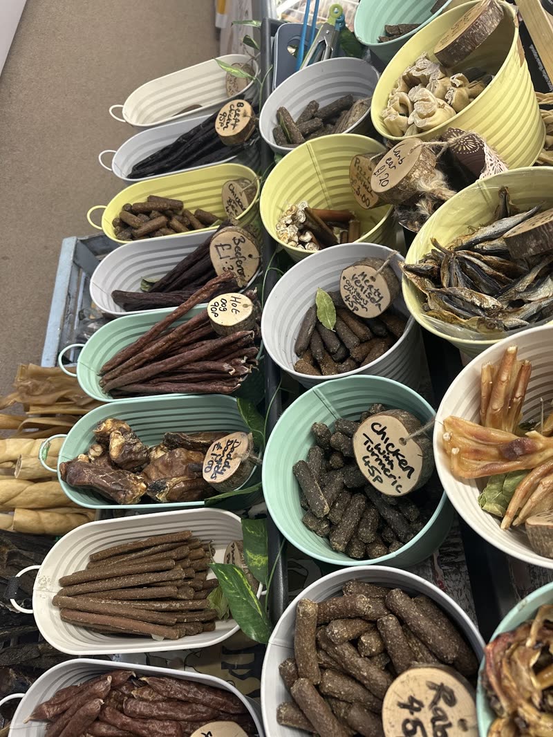 Pastel bowls and baskets of natural chews, sausages and dried treats seen from above