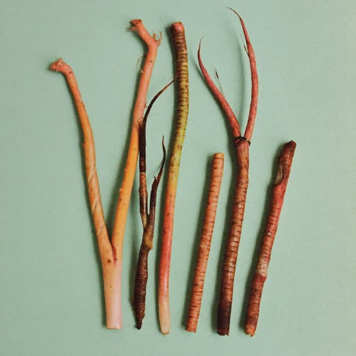 Natural dried chews and treats sold loose in the shop