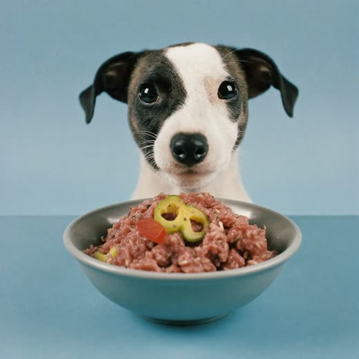 A portion of raw food as sold from the chilled counter
